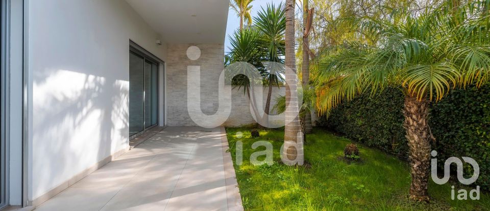 House T5 in Montenegro of 243 m²