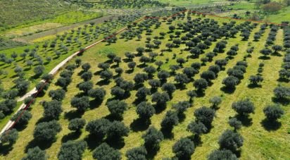 Land in Veiga de Lila of 46,187 m²