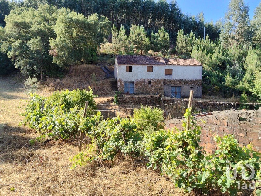 Maison rustique T0 à Madeirã de 124 m²