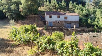 Maison rustique T0 à Madeirã de 124 m²