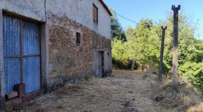 Maison rustique T0 à Madeirã de 124 m²