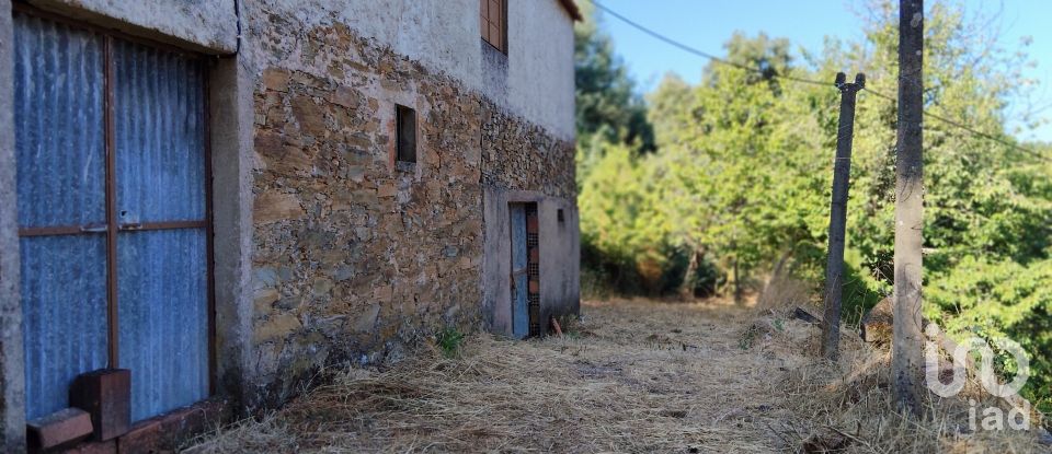Maison rustique T0 à Madeirã de 124 m²