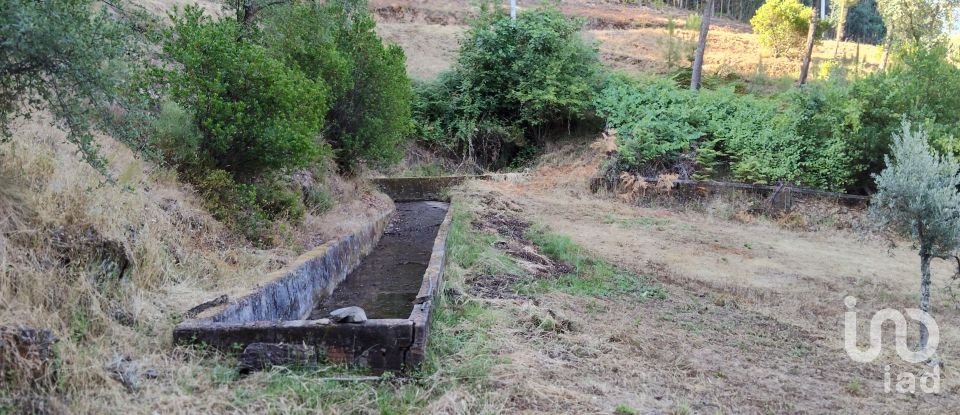 Maison rustique T0 à Madeirã de 124 m²