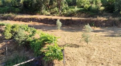 Maison rustique T0 à Madeirã de 124 m²