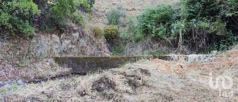 Maison rustique T0 à Madeirã de 124 m²