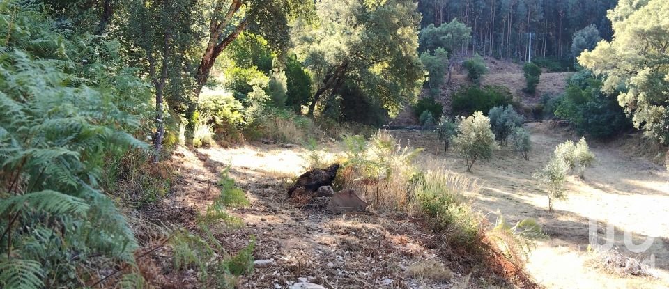 Maison rustique T0 à Madeirã de 124 m²