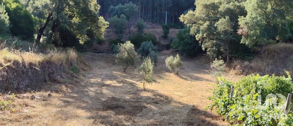 Maison rustique T0 à Madeirã de 124 m²