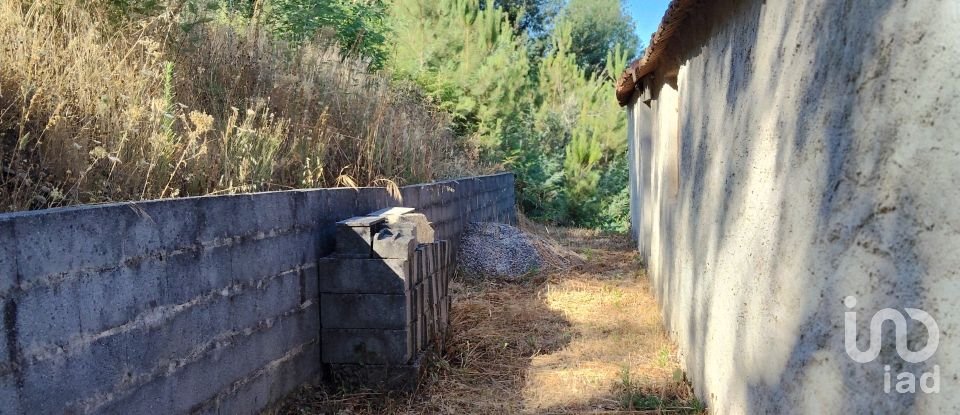 Maison rustique T0 à Madeirã de 124 m²