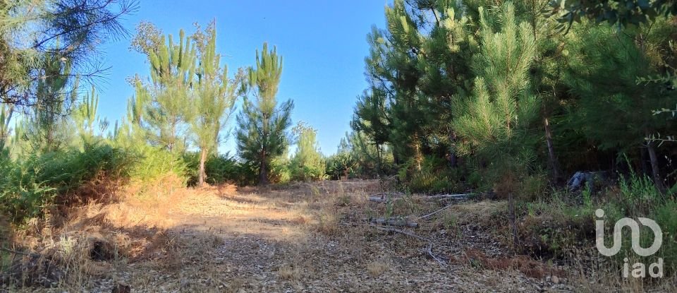 Maison rustique T0 à Madeirã de 124 m²