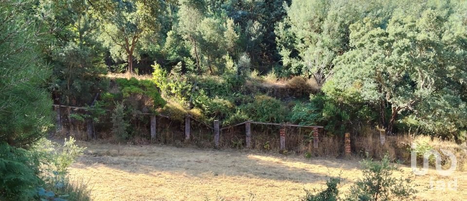 Maison rustique T0 à Madeirã de 124 m²