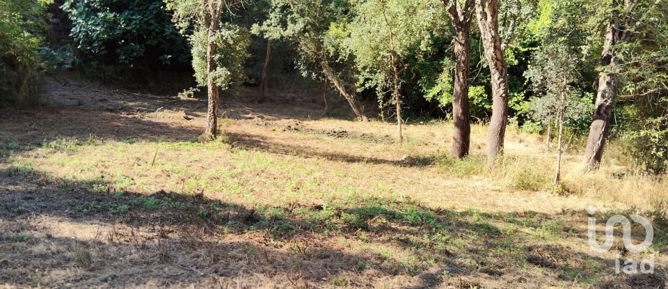 Maison rustique T0 à Madeirã de 124 m²