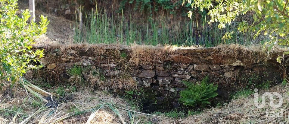 Maison rustique T0 à Madeirã de 124 m²