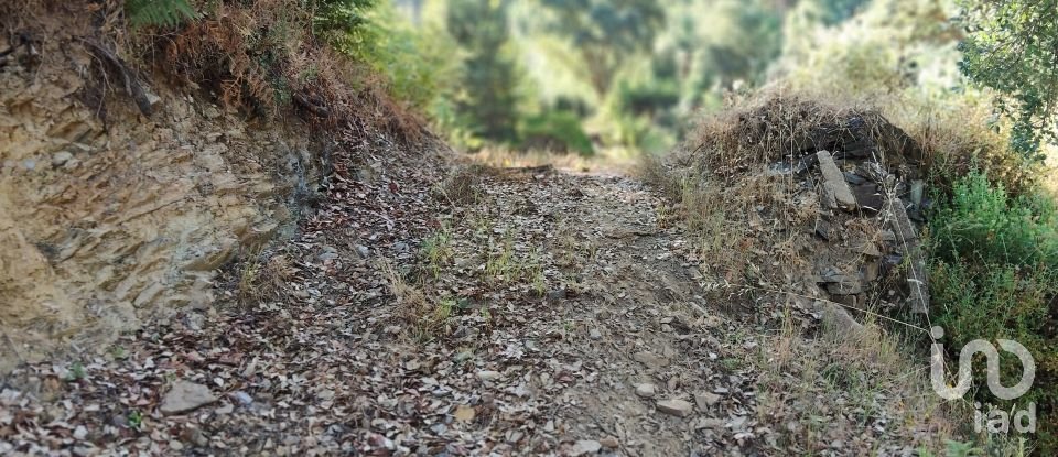 Maison rustique T0 à Madeirã de 124 m²