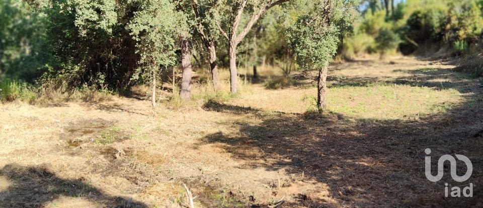 Maison rustique T0 à Madeirã de 124 m²