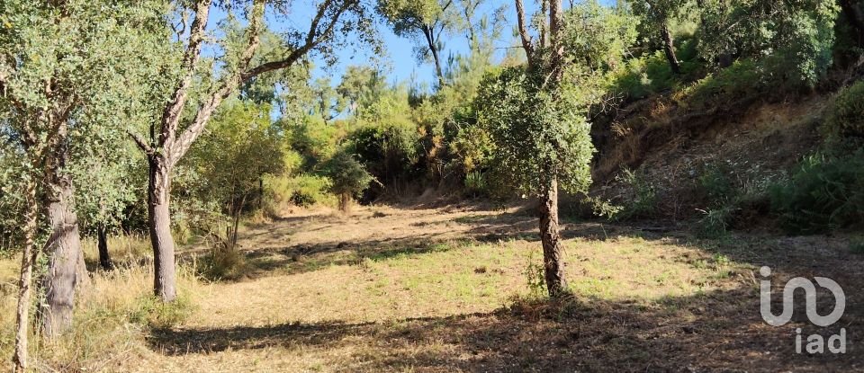 Maison rustique T0 à Madeirã de 124 m²