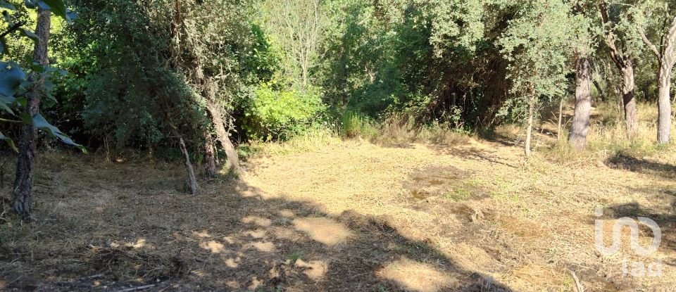 Maison rustique T0 à Madeirã de 124 m²