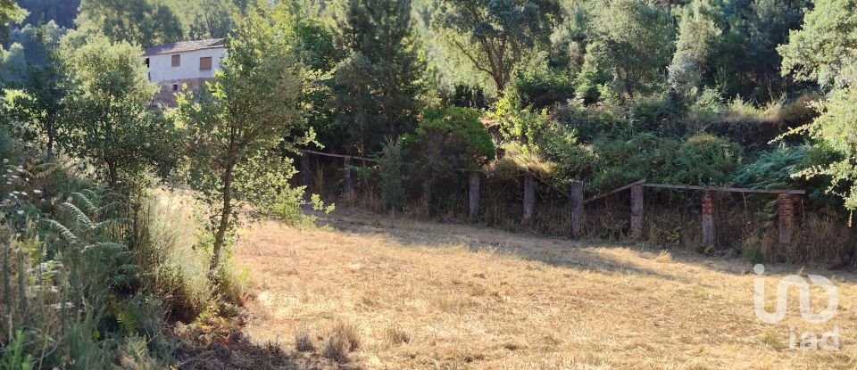 Maison rustique T0 à Madeirã de 124 m²