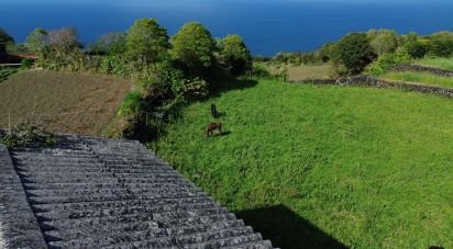 Terrain à Ribeirinha de 750 m²