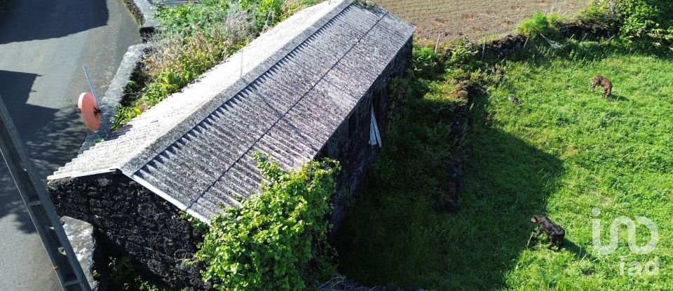 Terrain à Ribeirinha de 750 m²