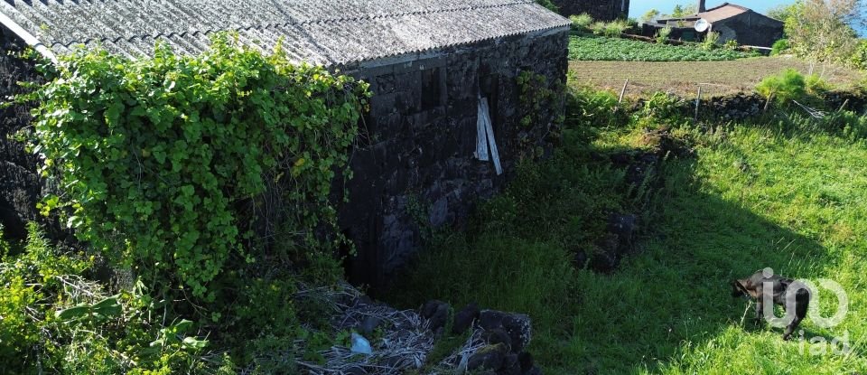 Terrain à Ribeirinha de 750 m²