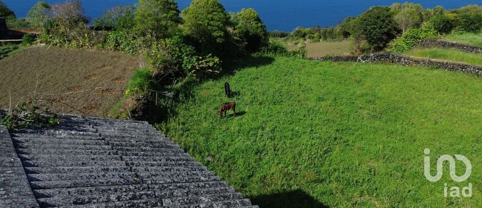Terrain à Ribeirinha de 750 m²