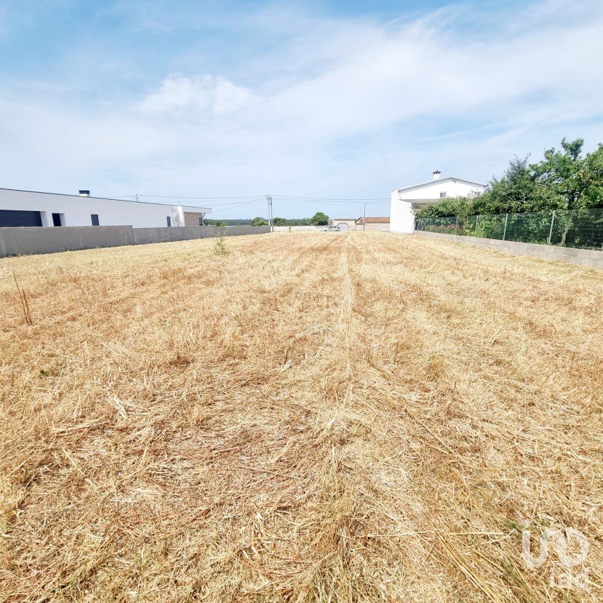 Land in Monte Real e Carvide of 1,530 m²