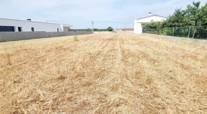 Land in Monte Real e Carvide of 1,530 m²