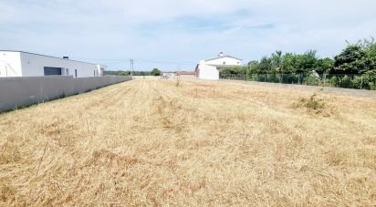 Terrain à Monte Real e Carvide de 1 530 m²