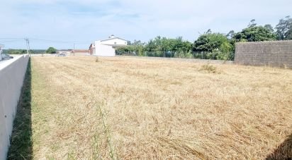 Terrain à Monte Real e Carvide de 1 530 m²