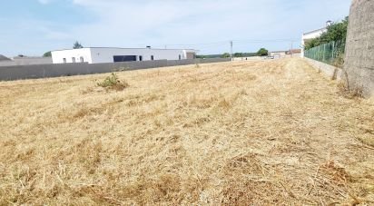 Terrain à Monte Real e Carvide de 1 530 m²