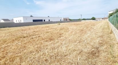 Terrain à Monte Real e Carvide de 1 530 m²