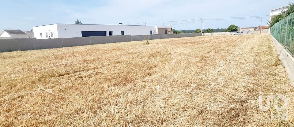 Land in Monte Real e Carvide of 1,530 m²