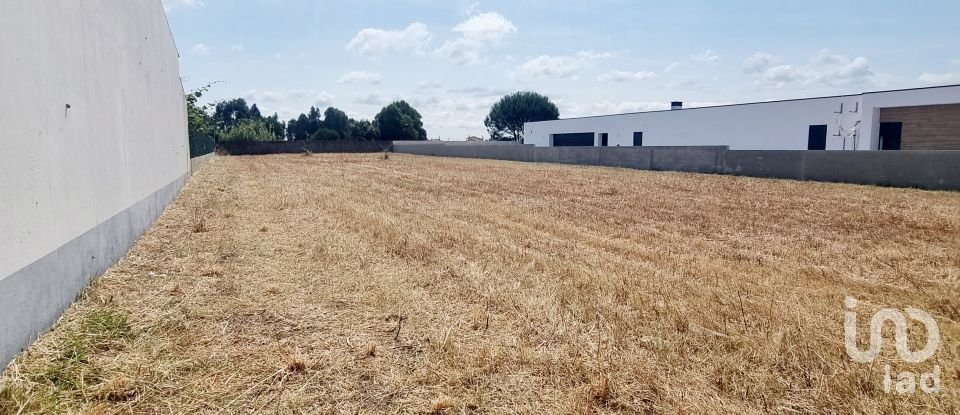 Land in Monte Real e Carvide of 1,530 m²