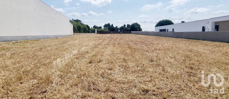 Land in Monte Real e Carvide of 1,530 m²