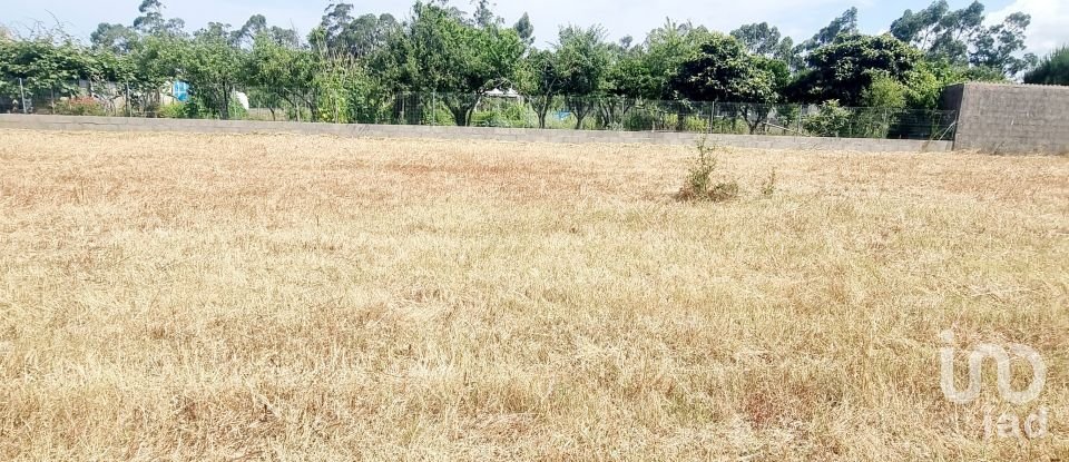 Land in Monte Real e Carvide of 1,530 m²