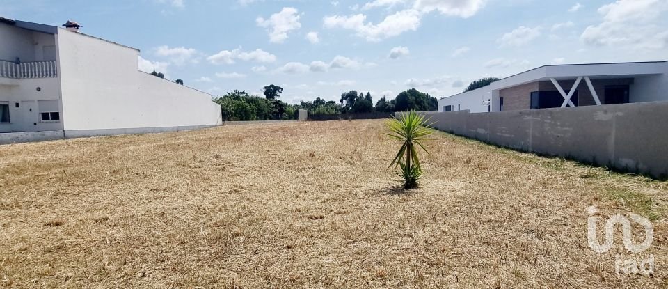 Land in Monte Real e Carvide of 1,530 m²