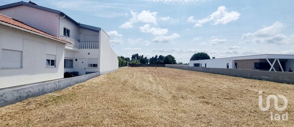 Land in Monte Real e Carvide of 1,530 m²