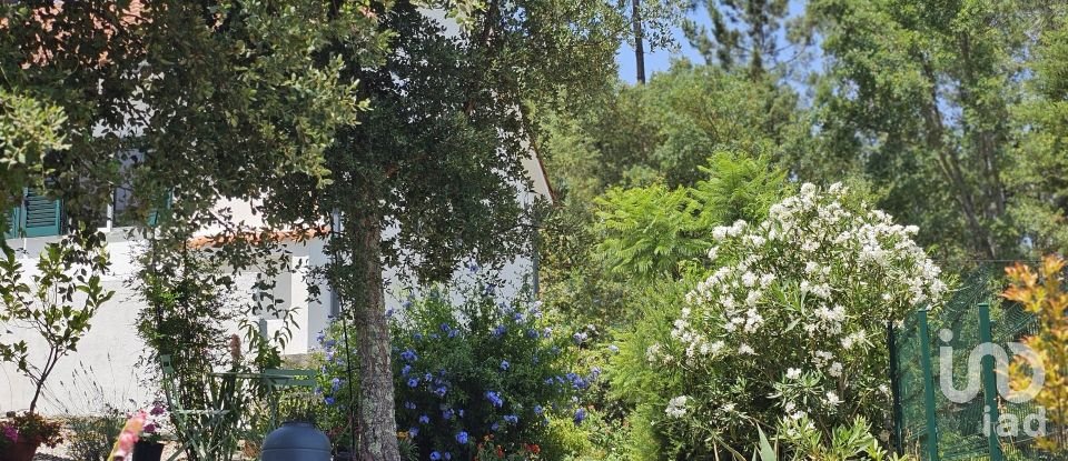 Moradia T3 em Almoster de 93 m²