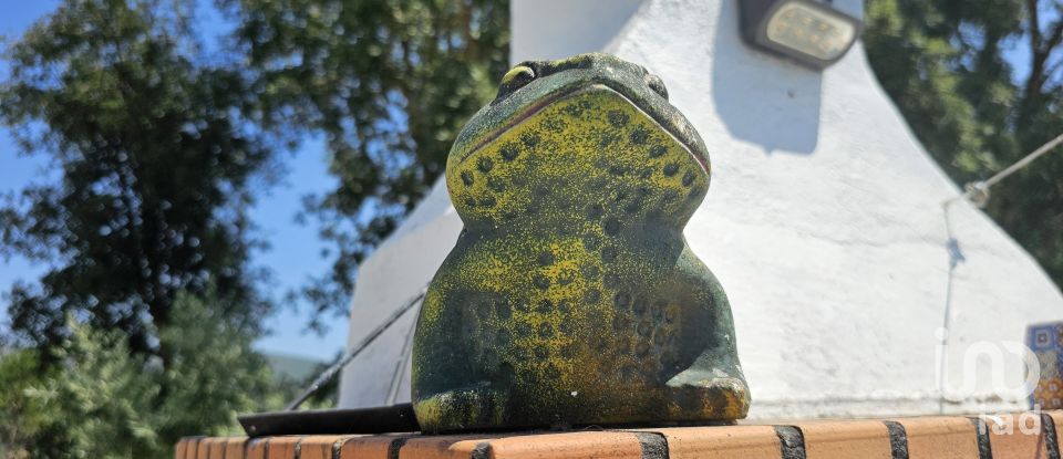 Moradia T3 em Almoster de 93 m²