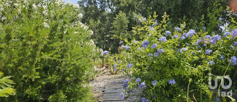 Moradia T3 em Almoster de 93 m²