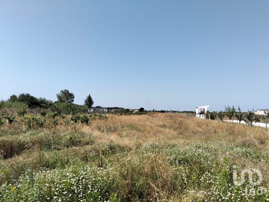 Land in Benfica do Ribatejo of 6,720 m²