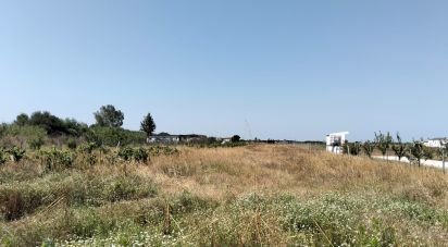Terrain à Benfica do Ribatejo de 6 720 m²