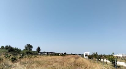 Terrain à Benfica do Ribatejo de 6 720 m²