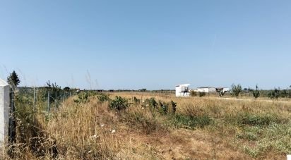 Terrain à Benfica do Ribatejo de 6 720 m²