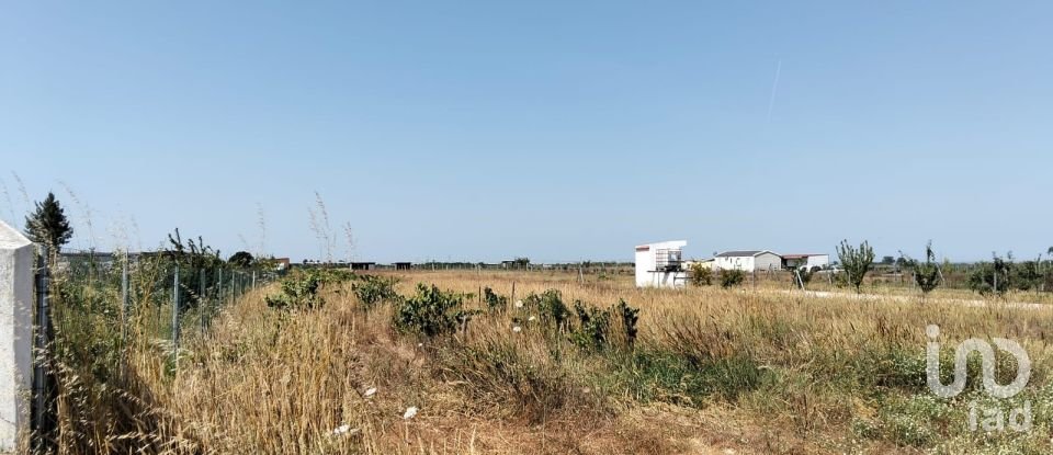 Land in Benfica do Ribatejo of 6,720 m²