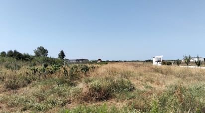 Terrain à Benfica do Ribatejo de 6 720 m²