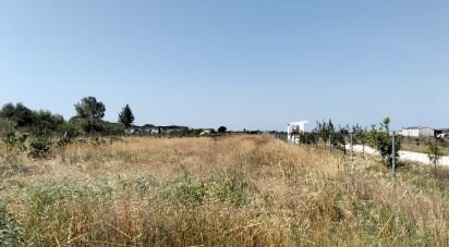 Terrain à Benfica do Ribatejo de 6 720 m²