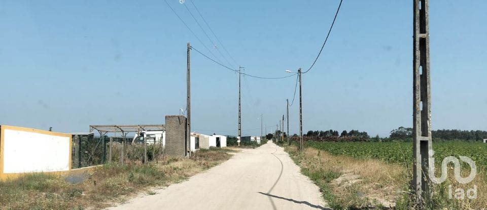 Land in Benfica do Ribatejo of 6,720 m²