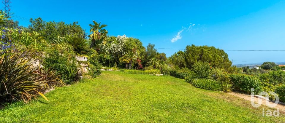 House T4 in Santa Bárbara de Nexe of 201 m²