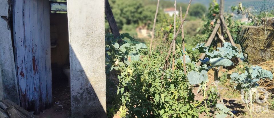 Casa de aldeia T2 em Castanheira de Pêra e Coentral de 98 m²